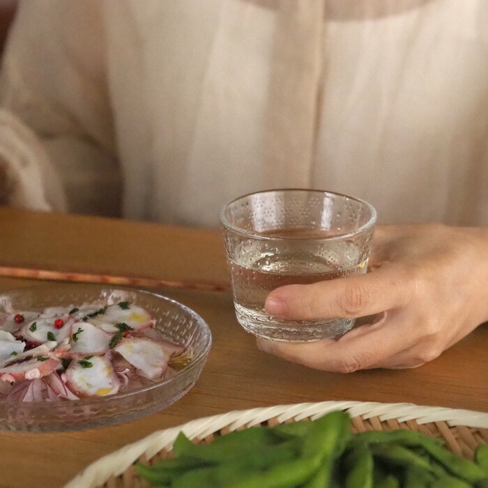 イッタラ　ツンドラ　タンブラー　160ml　クリア　/　iittala　Tundra