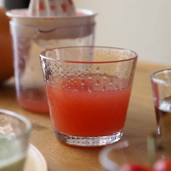 イッタラ ツンドラ タンブラー 290ml クリア / iittala Tundra