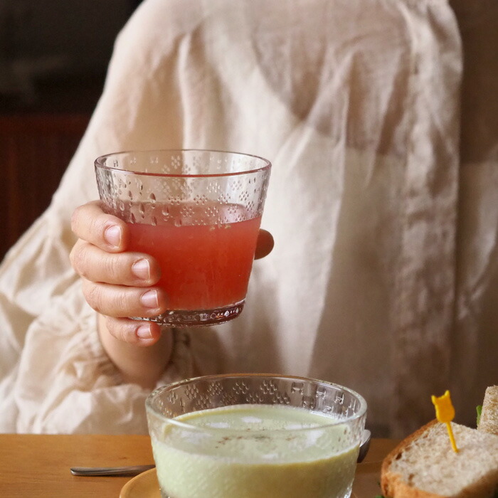 イッタラ　ツンドラ　タンブラー　290ml　クリア　/　iittala　Tundra