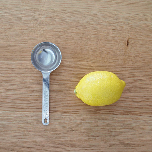 ヨナス　コーヒースクープ　/　Jonas