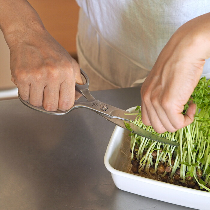 貝印　鍛造オールステンレスカーブキッチン鋏　/　Kai