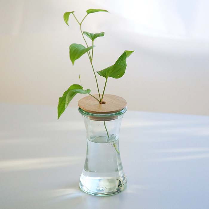 ウェック　木のふた　S　穴開き　/　WECK