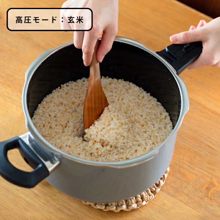 ヴェーエムエフ　フュージョンテック　ミネラル　圧力鍋　4.5L　プラチナム　/　WMF